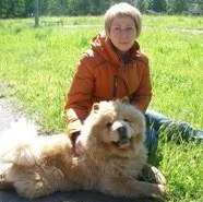 Аватара пользователя