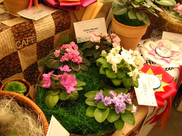 Image00180.jpg