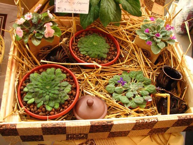 Image00158.jpg