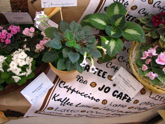 Image00023.jpg