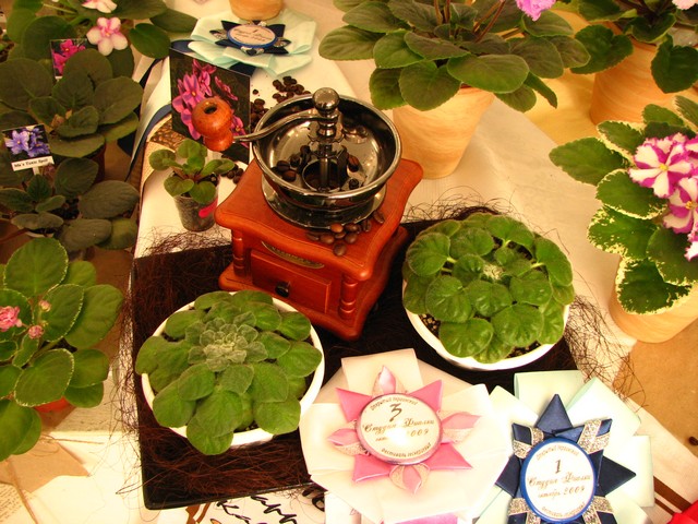 Image00194.jpg