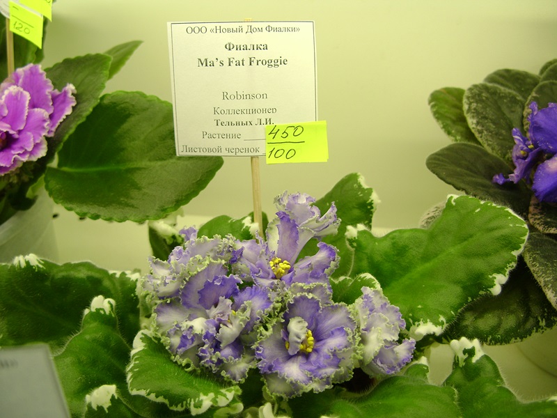 DSC06125.JPG