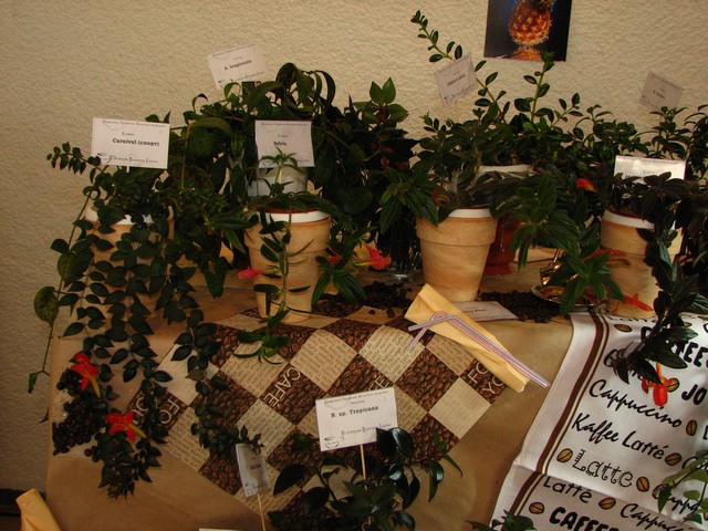 Image00229.jpg