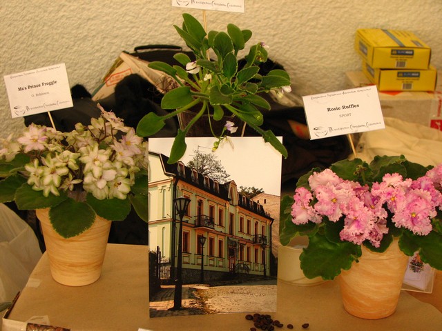 Image00215.jpg