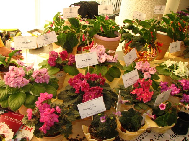 Image00332.jpg