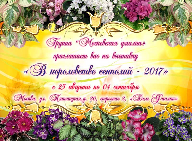 афиша.jpg