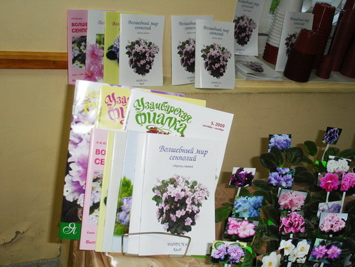 DSC03116.jpg