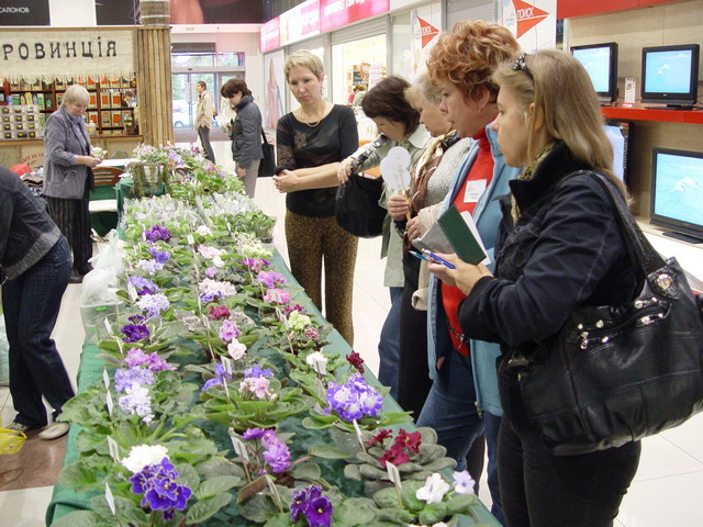 Судейство 3.jpg