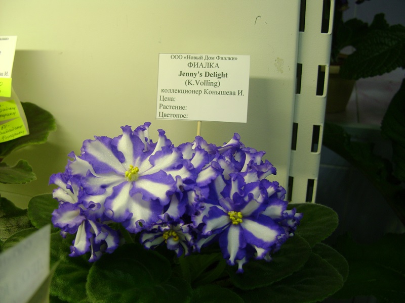 DSC06587.JPG