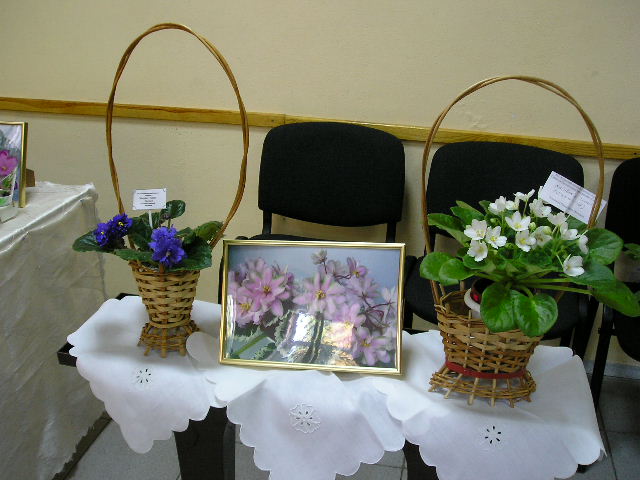 корзинки-фото.JPG