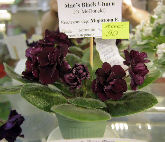 Mac's-Black-Uhuru.jpg