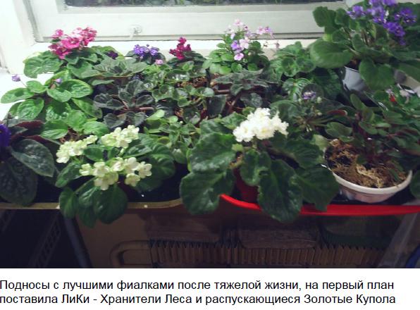 поднос с текстом.JPG