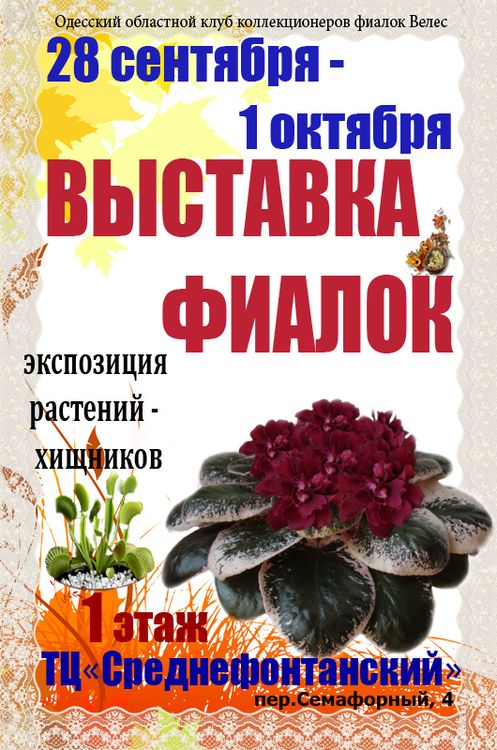 осень 2017 -28 окт копия.jpg