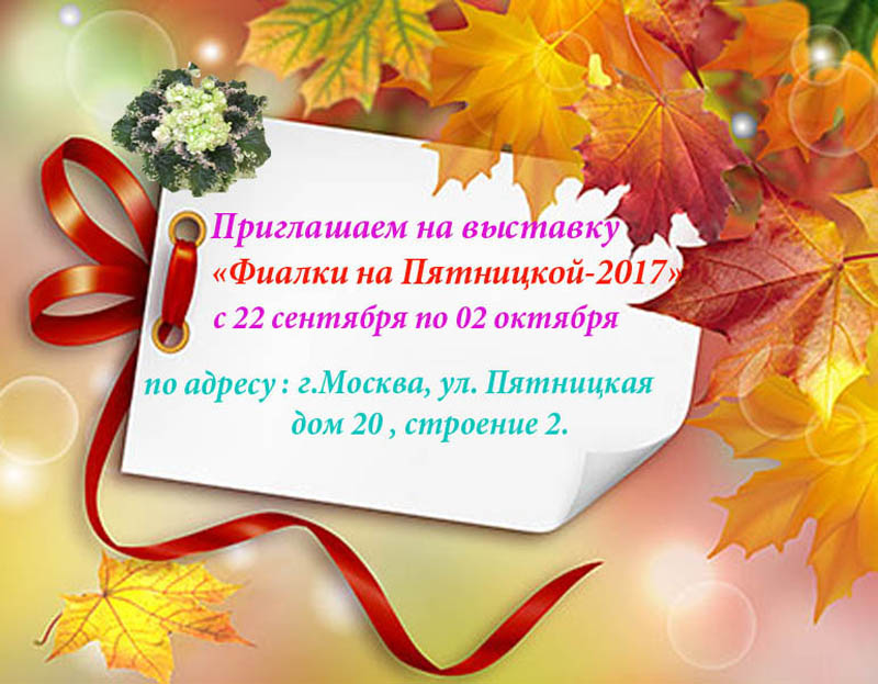 5 800 на 623.jpg