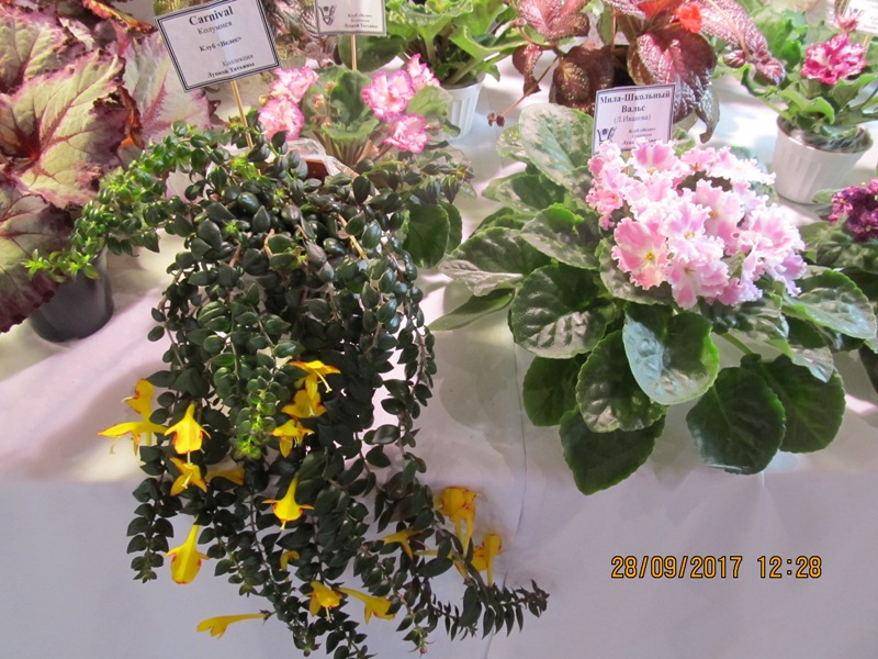 IMG_5166.JPG
