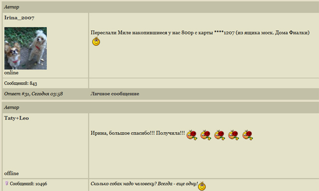 форум.jpg
