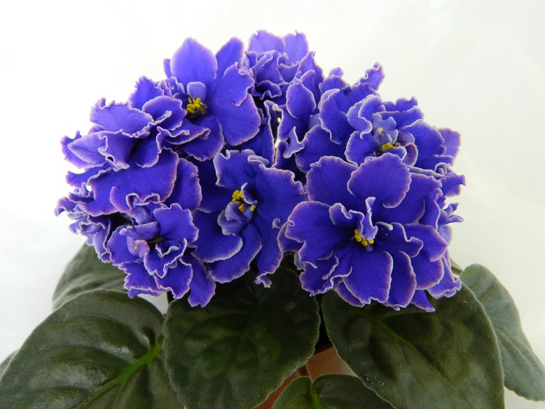 DSCN1126.JPG