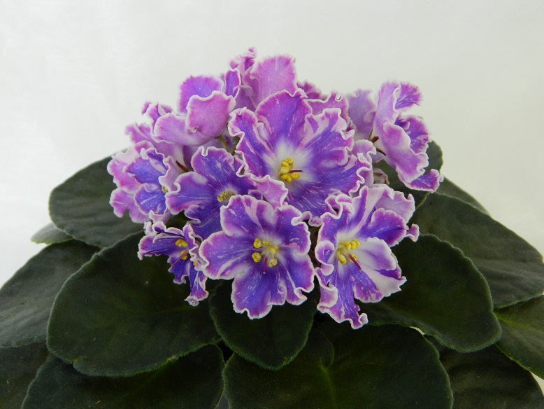 DSCN1165.JPG