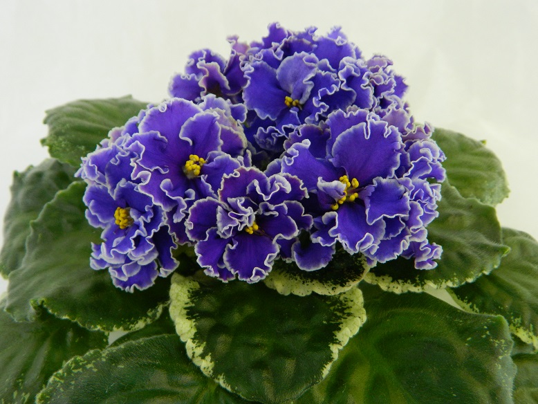 DSCN1145.JPG