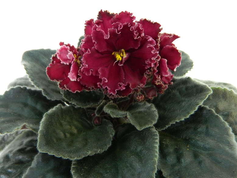 DSCN1219.JPG