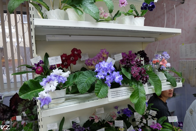 DSCF4059.jpg