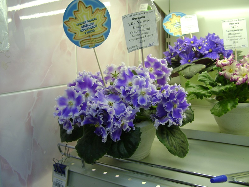 DSC07131ф.JPG