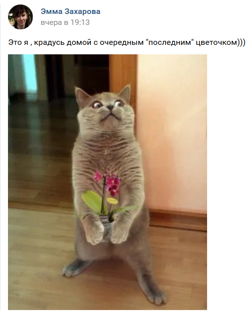 Screenshot-2017-10-26 Новости.png