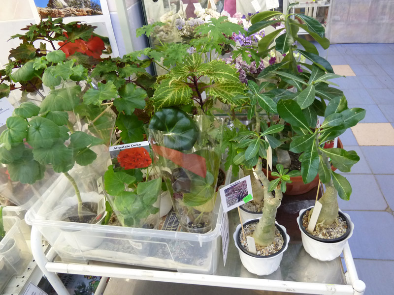 P10308241.jpg