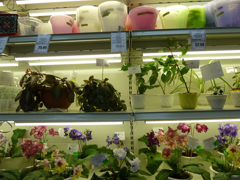 P10308271.jpg