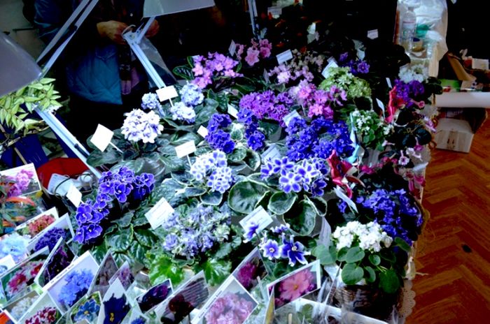 DSC_8502.JPG