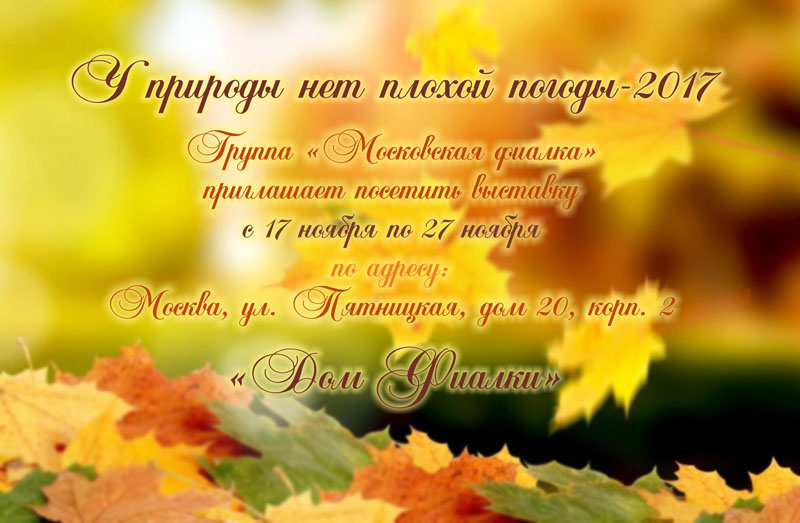 аф 800.jpg