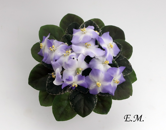 Shirl's-Hawaiian-Lei.jpg