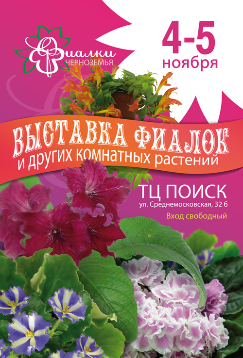 выставка.jpg