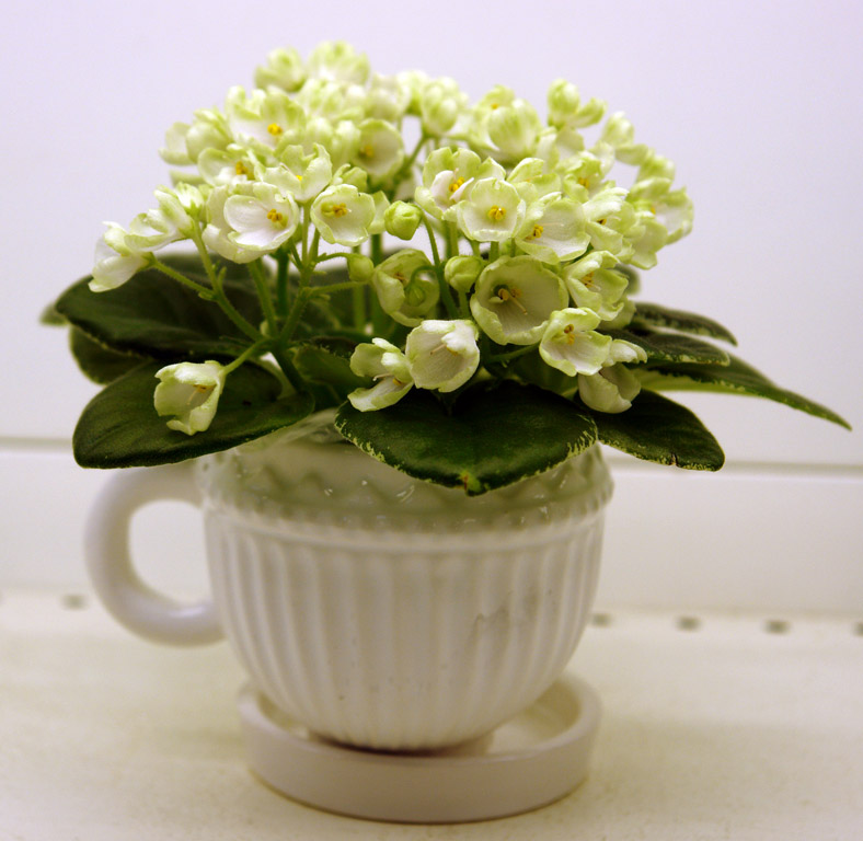 DSC00557 768.jpg