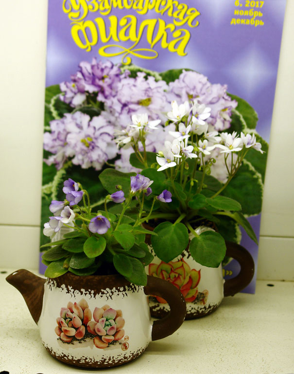 DSC00555 768.jpg