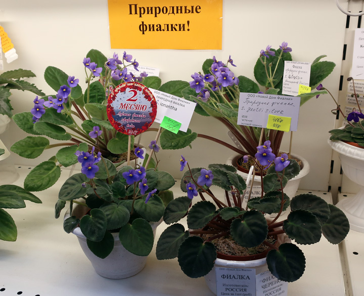 природные-виды.jpg