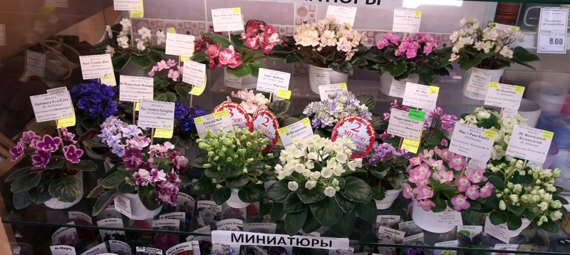 мини-6.jpg