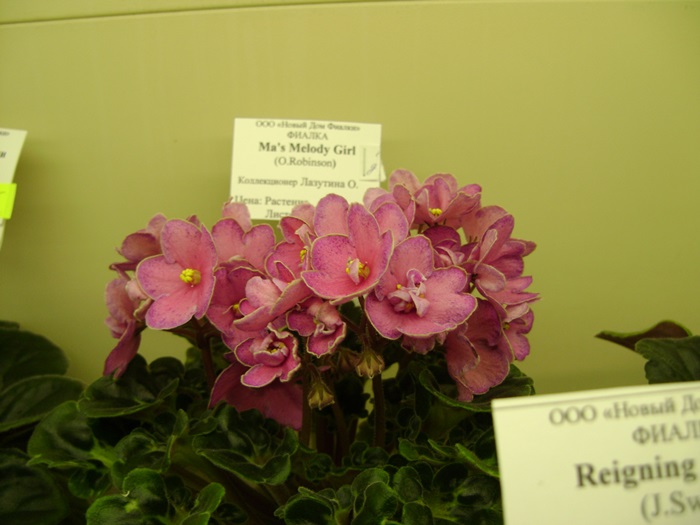 DSC07634.JPG