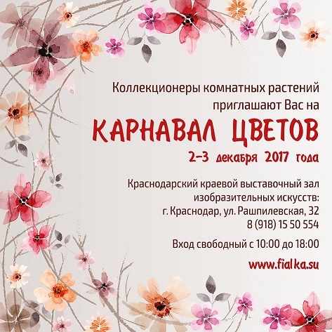 афиша.jpg
