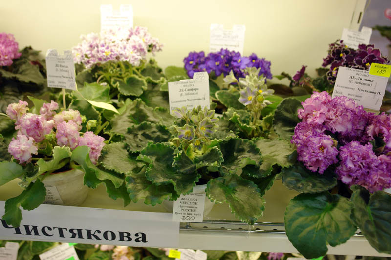 DSC00421.jpg