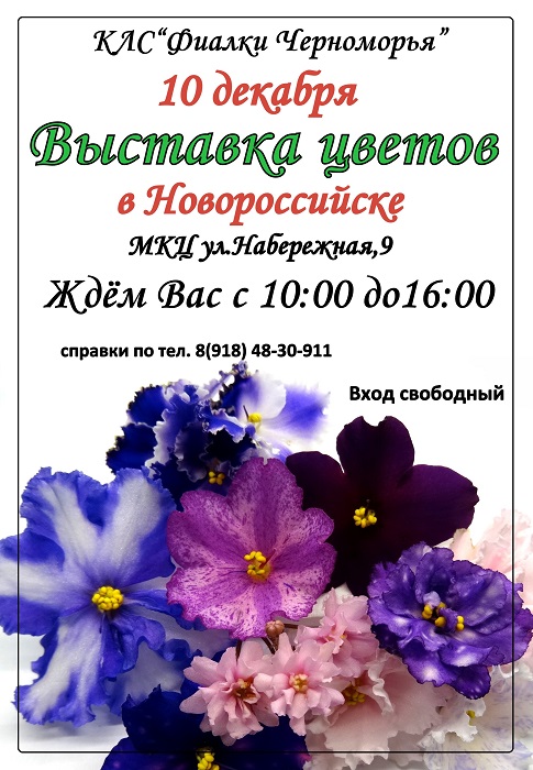 новороссийск 10 декабря — копия.jpg