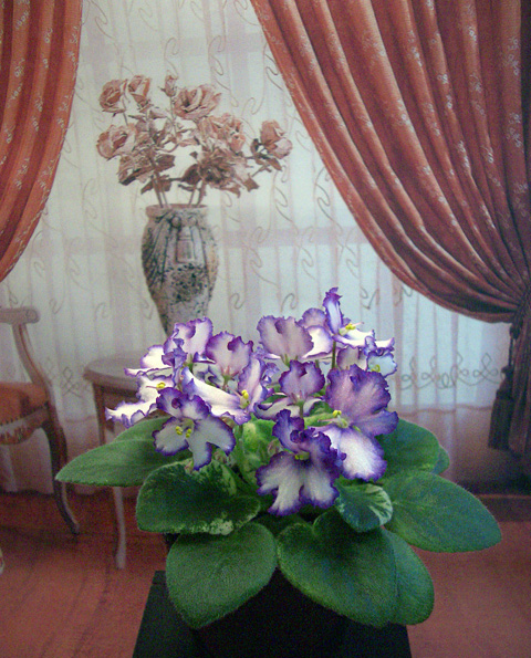 ЛЕ-Лунная Радуга.JPG