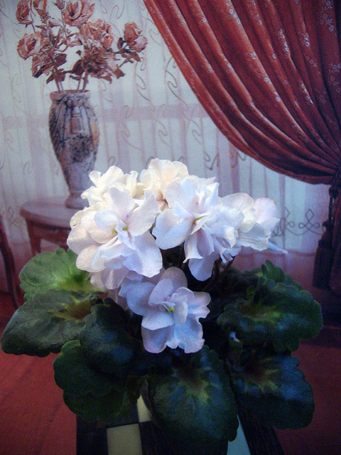 БР-Афина.jpg