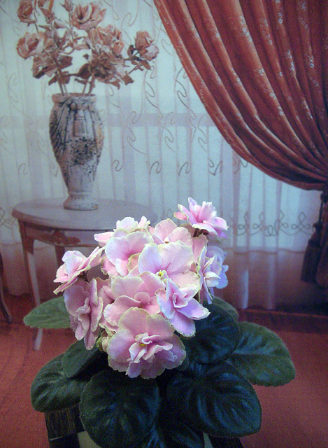 БР-Луганчанка.jpg