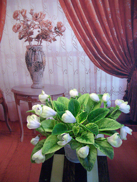 Н-Нейтири.jpg