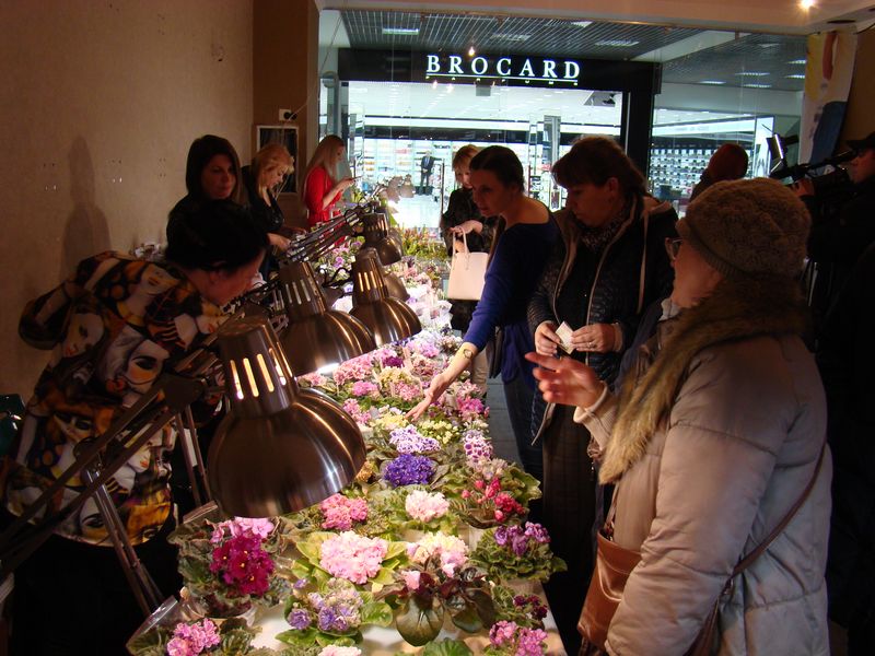 DSC08134.JPG