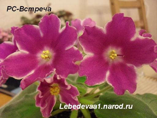РС-Встреча (2) 20-20 текст.JPG