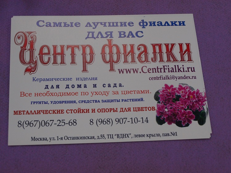 Центр Фиалки.jpg
