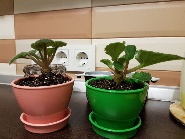 20171219_190932.jpg