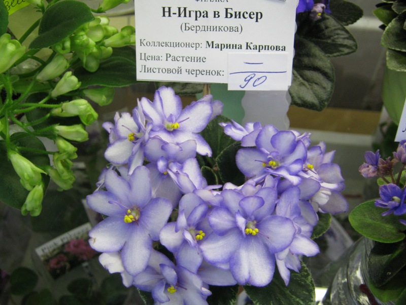 IMG_2857.JPG